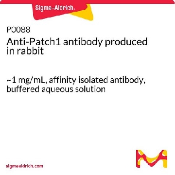 Anti-Patch1 antibody produced in rabbit，100UG，P0088-100UG，Sigma