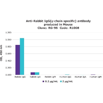 Monoclonal Anti-Rabbit IgG (γ-chain specific) antibody produced in mouse，0.2ML，R1008-.2ML，Sigma