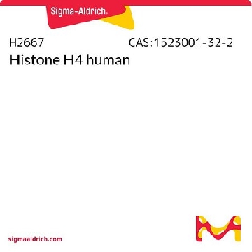 Histone H4 human，100UG，H2667-100UG，Sigma