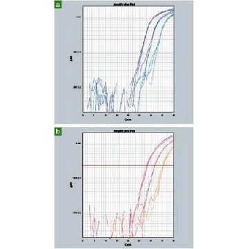 FastStart通用探针预混液（Rox），1250X20UL REACTIONS，4913957001，Roche