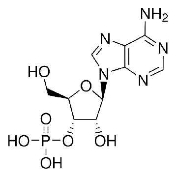 腺苷 3′-单磷酸，1G，A9272-1G，Sigma