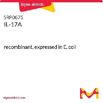 IL-17A，25UG，SRP0675-25UG，Sigma