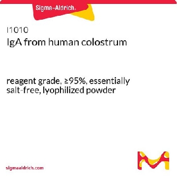 IgA 来源于人初乳，25MG，I1010-25MG，Sigma