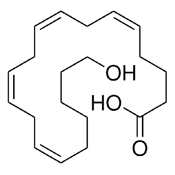 20-羟基-（5Z,8Z,11Z,14Z）-二十碳四烯酸，50UG，H3023-50UG，Sigma