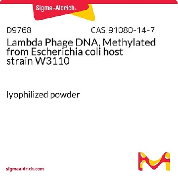 λ噬菌体DNA，甲基化 来源于大肠杆菌  宿主株 W3110，10UNITS，D9768-10UN，Sigma