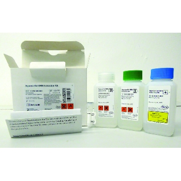 琼脂糖凝胶 DNA 提取试剂盒，1REACTIONS，11696505001，Roche
