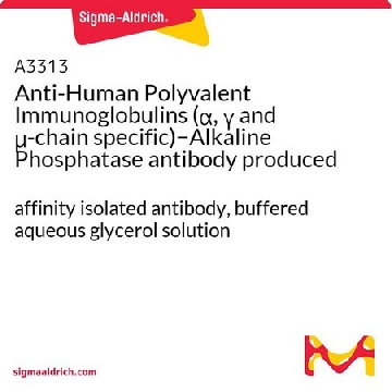 Anti-Human Polyvalent Immunoglobulins (α, γ and μ-chain specific)−Alkaline Phosphatase antibody produced in goat，0.25ML，A3313-.25ML，Sigma