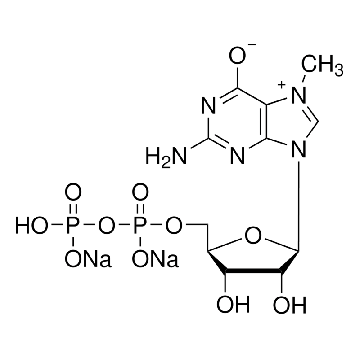 7-Methylguanosine 5′-diphosphate sodium salt，10MG，M5883-10MG，Sigma