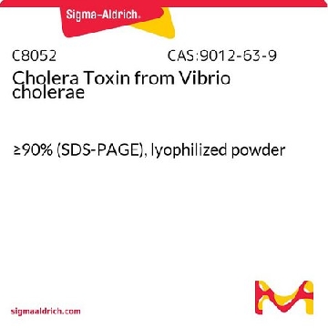 霍乱毒素 来源于霍乱弧菌，0.5MG，C8052-.5MG，Sigma