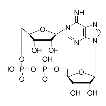 环二磷酸腺苷核酸糖，0.5MG，C7344-.5MG，Sigma