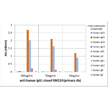 Anti-Human IgA1-Biotin antibody, Rabbit monoclonal，50UG，SAB5600180-50UG，Sigma