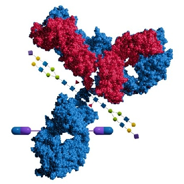 Enhanced Microbial Transglutaminase，250U，SAE0217-250UN，Sigma