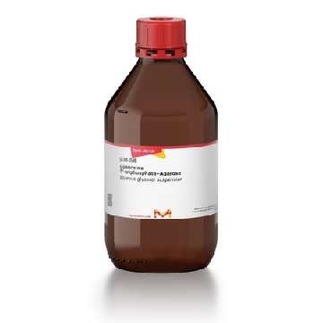 鸟苷 5′--三磷酸盐-琼脂糖，1ML，G9768-1ML，Sigma