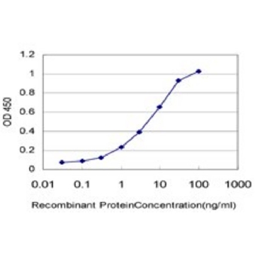 Monoclonal Anti-ADAMTS13 antibody produced in mouse，100UG，WH0011093M6-100UG，Sigma