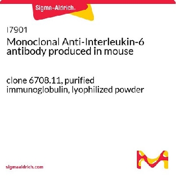 单克隆抗-白介素-6 小鼠抗，0.5MG，I7901-.5MG，Sigma