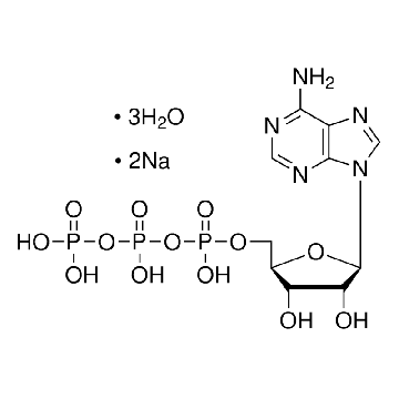 ATP，5G，10519987001，Roche