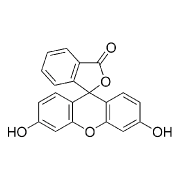 荧光素（游离酸），500G，F2456-500G，Sigma