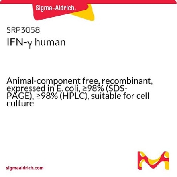 IFN-γ 人，100UG，SRP3058-100UG，Sigma