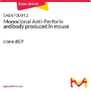 Monoclonal Anti-Perforin antibody produced in mouse，100UG，SAB4700912-100UG，Sigma