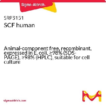 SCF 人，10UG，SRP3151-10UG，Sigma