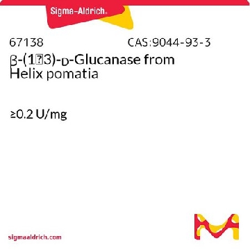 β-(1→3)-ᴅ-葡聚糖酶 来源于罗曼蜗牛，50MG，67138-50MG，Sigma