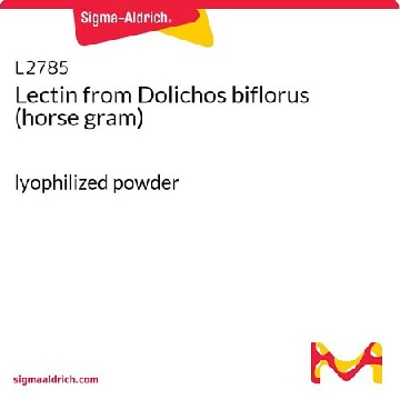 来自麦胚（硬皮豆）的凝集素，1MG，L2785-1MG，Sigma