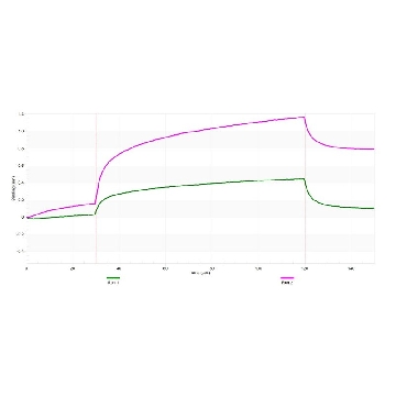 Anti-KIAA0895L Antibody, clone 1E4 ZooMAb® Rabbit Monoclonal，254G，ZRB2972-25UL，Sigma