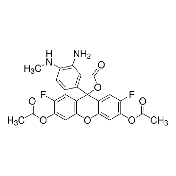 二氨基荧光素-FM 二乙酸酯，1MG，D1946-1MG，Sigma
