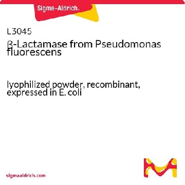 β-Lactamase from Pseudomonas fluorescens，5UNITS，L3045-5UN，Sigma