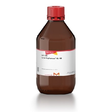 辛基琼脂糖™ CL-4B，50ML，O6001-50ML，Sigma