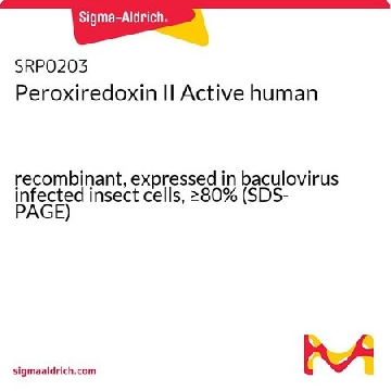 Peroxiredoxin II Active human，100UG，SRP0203-100UG，Sigma