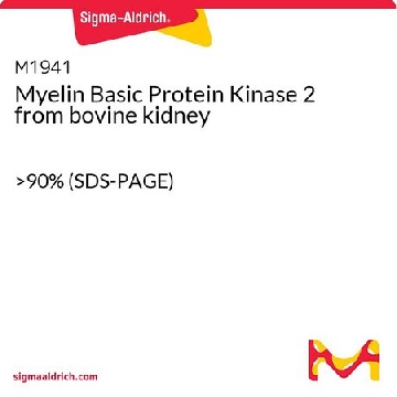 Myelin Basic Protein Kinase 2 from bovine kidney，1VIAL，M1941-1VL，Sigma