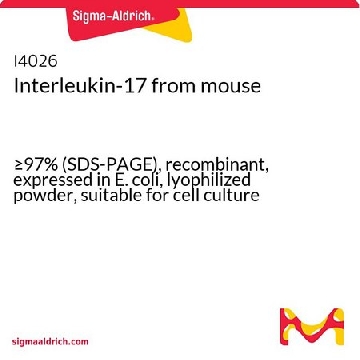 Interleukin-17 from mouse，25UG，I4026-25UG，Sigma