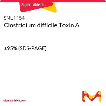 难辨梭菌毒素A，2UG，SML1154-2UG，Sigma
