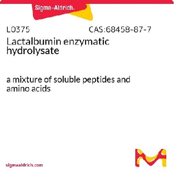 乳白蛋白酶解液，5KG，L0375-5KG，Sigma