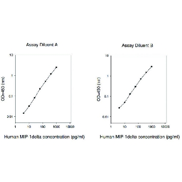 人MIP-1 δ / CCL15 ELISA 试剂盒，1KIT，RAB0048-1KT，Sigma