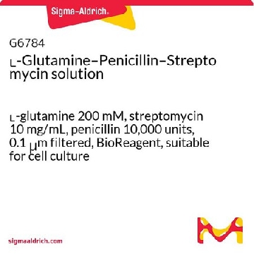 ʟ-Glutamine–Penicillin–Streptomycin solution，100ML，G6784-100ML，Sigma