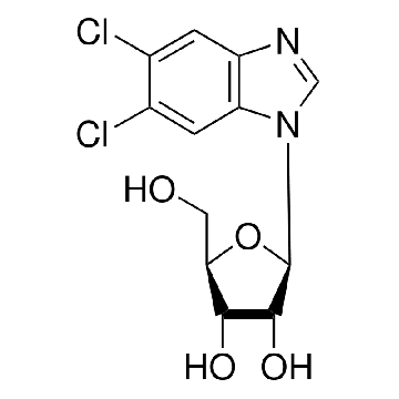 5,6-二氯苯并咪唑 1-β-ᴅ-核苷，50MG，D1916-50MG，Sigma