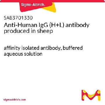 抗-人IgG（H + L） 绵羊抗，2MG，SAB3701330-2MG，Sigma