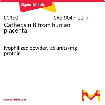 组织蛋白酶B 来源于人类胎盘，10UNITS，C0150-10UN，Sigma