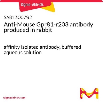 Anti-Mouse Gpr81-r203 antibody produced in rabbit，100UG，SAB1300792-100UG，Sigma