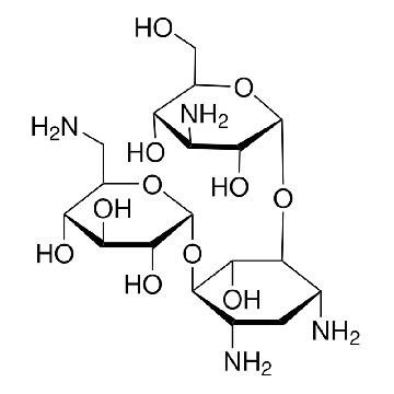 Kanamycin solution from Streptomyces kanamyceticus，20ML，K0254-20ML，Sigma