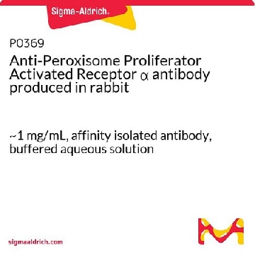 Anti-Peroxisome Proliferator Activated Receptor α antibody produced in rabbit，100UL，P0369-100UL，Sigma