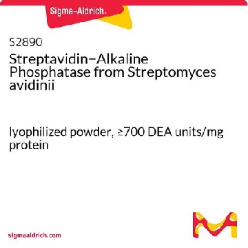 链霉亲和素-碱性磷酸酶 来源于阿维丁链霉菌，1MG，S2890-1MG，Sigma