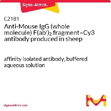 抗小鼠IgG（完整分子）F(ab′)₂ 片段–Cy3 绵羊抗，1ML，C2181-1ML，Sigma