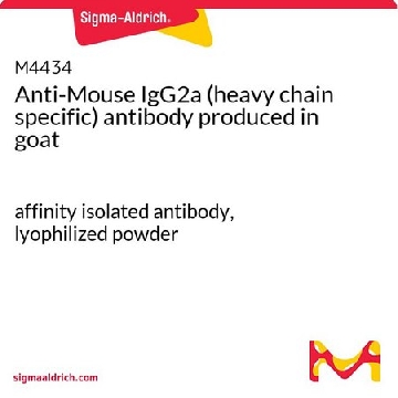 Anti-Mouse IgG2a (heavy chain specific) antibody produced in goat，1MG，M4434-1MG，Sigma