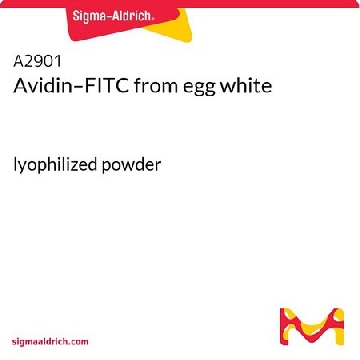 抗生物素蛋白-FITC 来源于鸡蛋白，5MG，A2901-5MG，Sigma