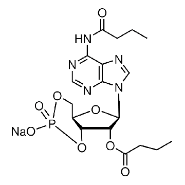 N⁶,2′-O-二丁酰基腺苷 3′,5′-环单磷酸 钠盐，250MG，D0627-250MG，Sigma