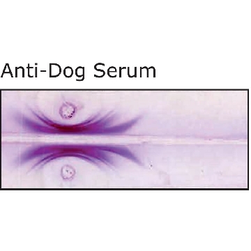 Anti-Dog Serum antibody produced in rabbit，2ML，D4908-2ML，Sigma