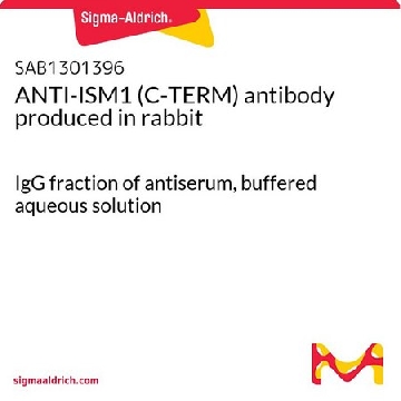 ANTI-ISM1 (C-TERM) antibody produced in rabbit，400UL，SAB1301396-400UL，Sigma